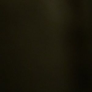 Meet your Posher, Hayat